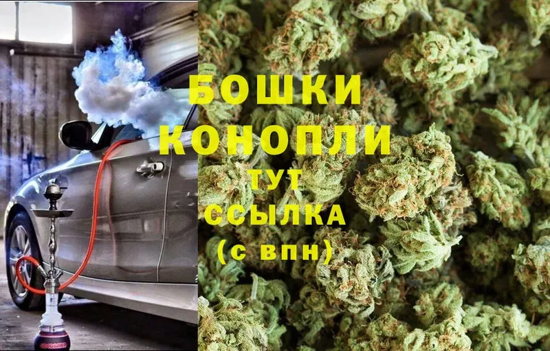 наркотики  Лабытнанги  Бошки Шишки Ganja 